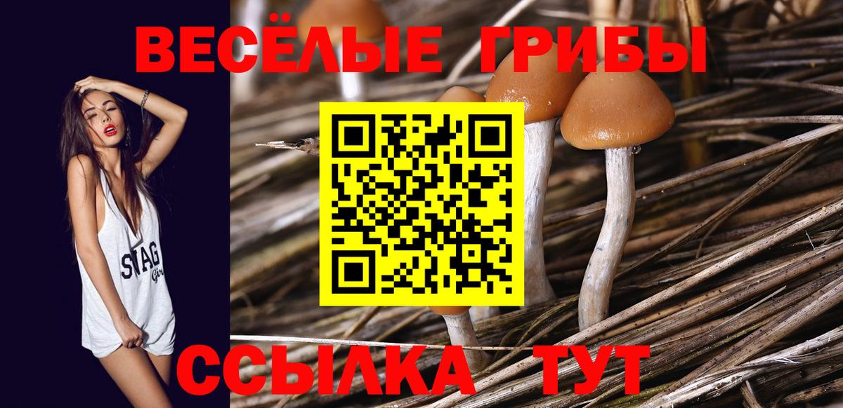 Фролово  Псилоцибиновые грибы MAGIC MUSHROOMS  Вход с VPN 