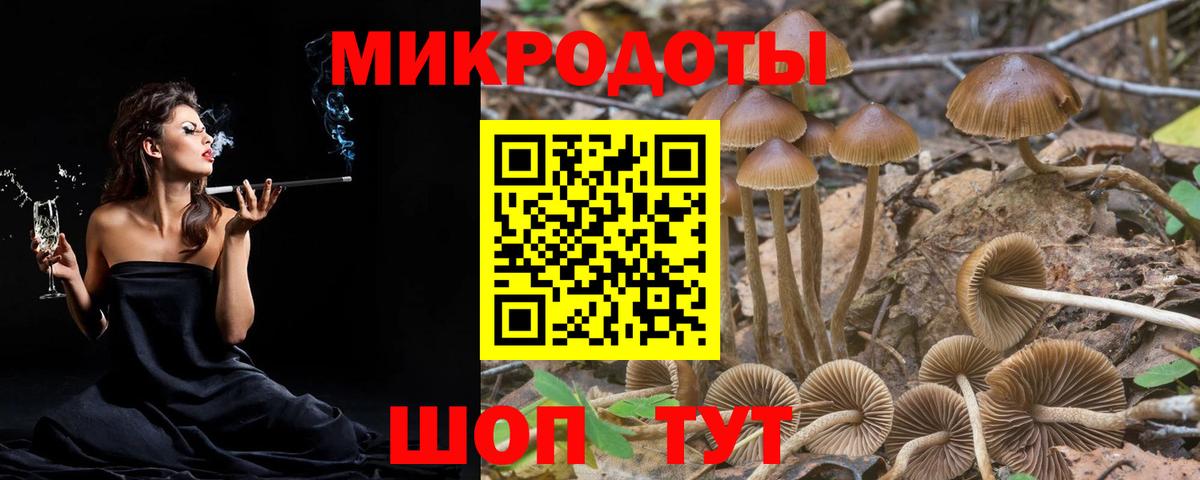 Псилоцибиновые грибы Magic Shrooms Фролово